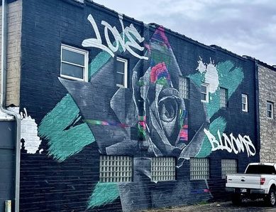 Coneflowers Jenna Morello RENARTWLK Mural Tour Jasper County